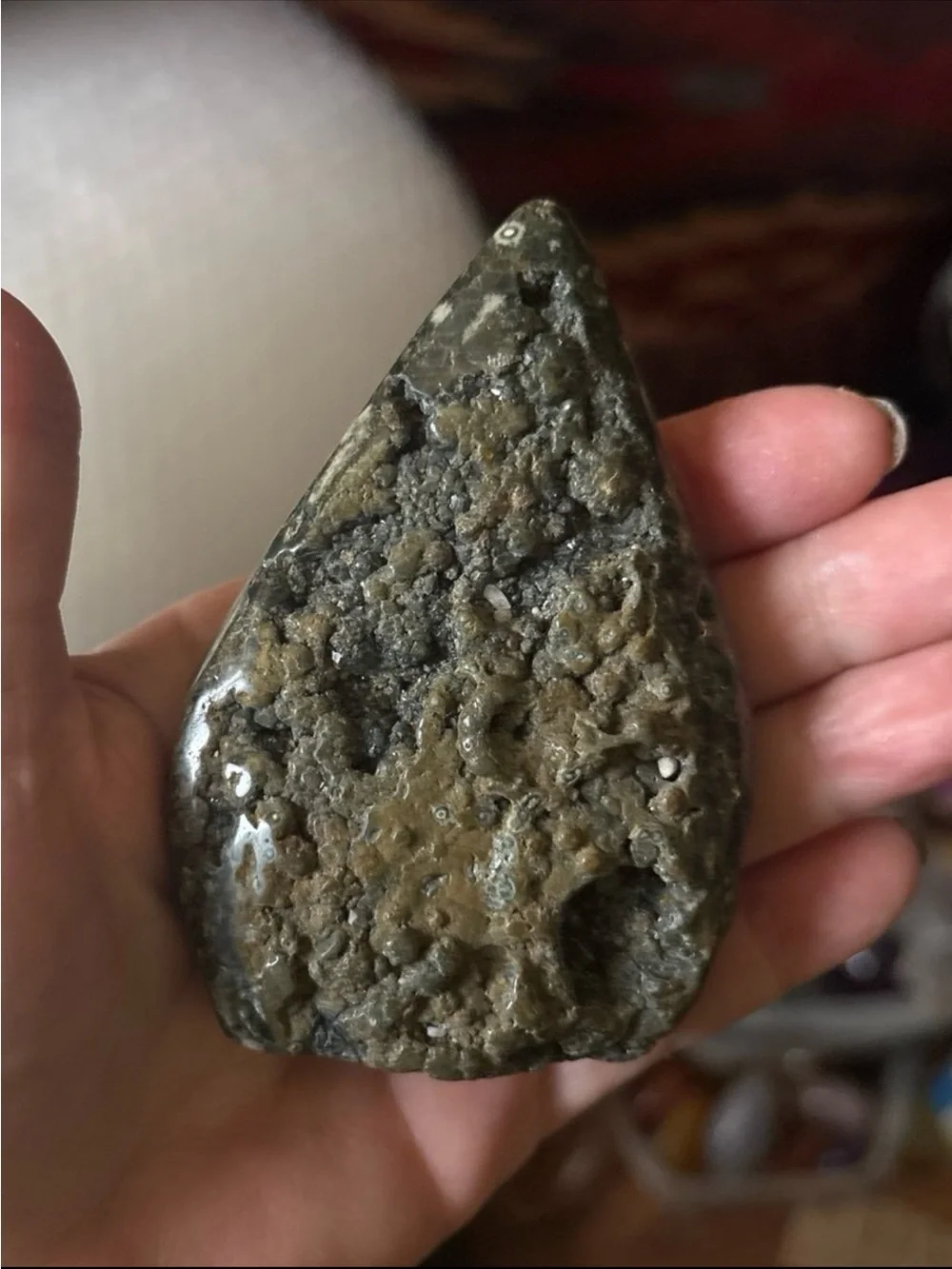 8th Vein Ocean Jasper Freeform